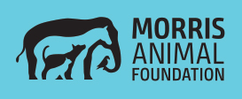 Morris Animal Foundation